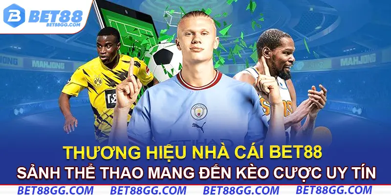 Sảnh thể thao mang đến kèo cược uy tín